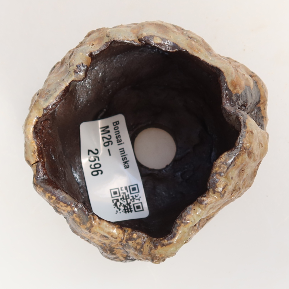 Guscio in ceramica  7,5 x 6,5 x 6 cm, colore marrone
