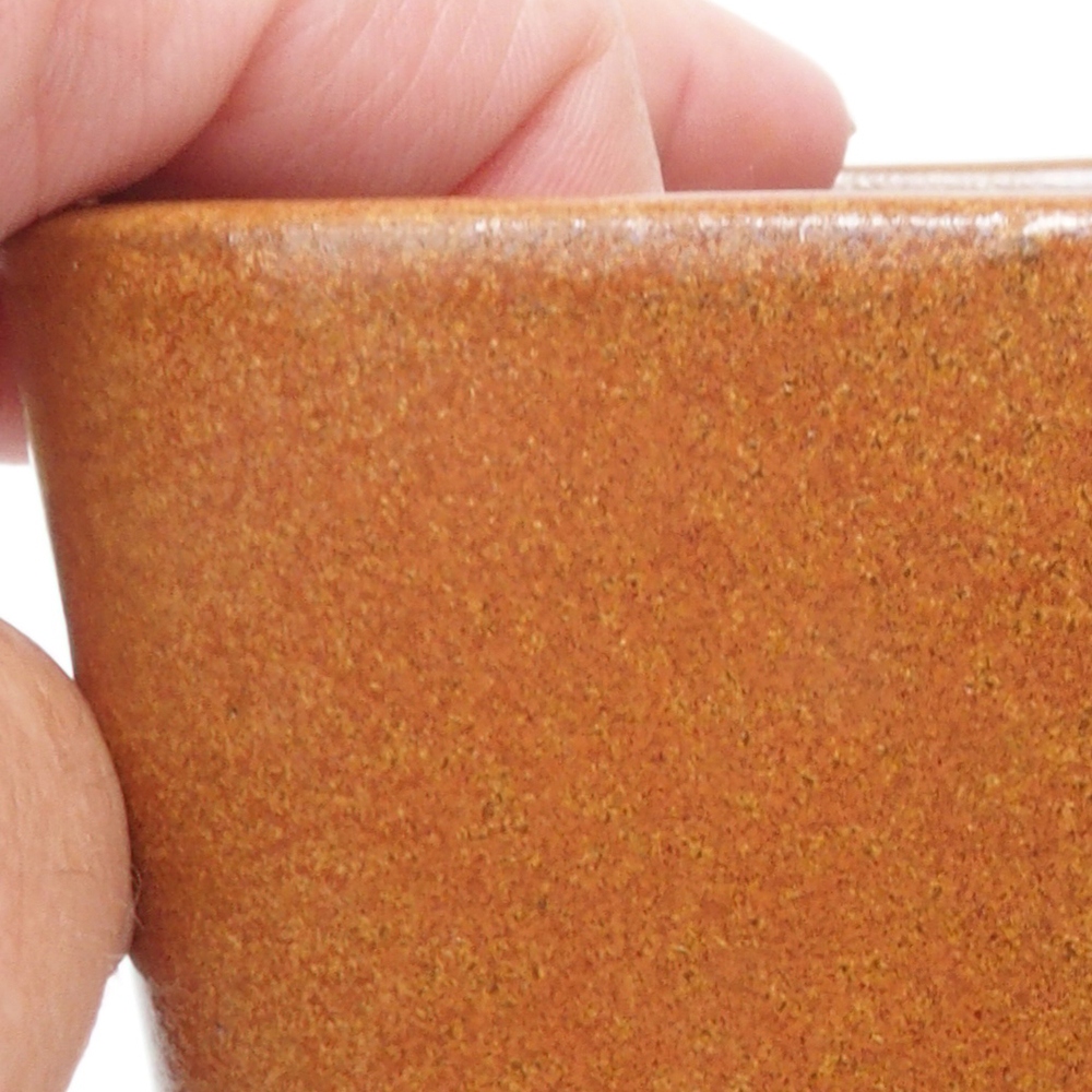 Ciotola bonsai in ceramica 13 x 13 x 13,5 cm, marrone