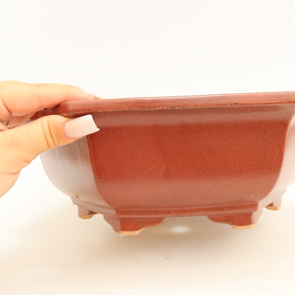 Vaso da bonsai in ceramica 28 x 24,5 x 9 cm, colore bordeaux