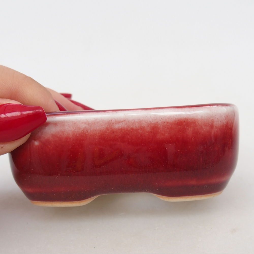 Mini bonsai 8 x 6 x 3 cm, colore rosso