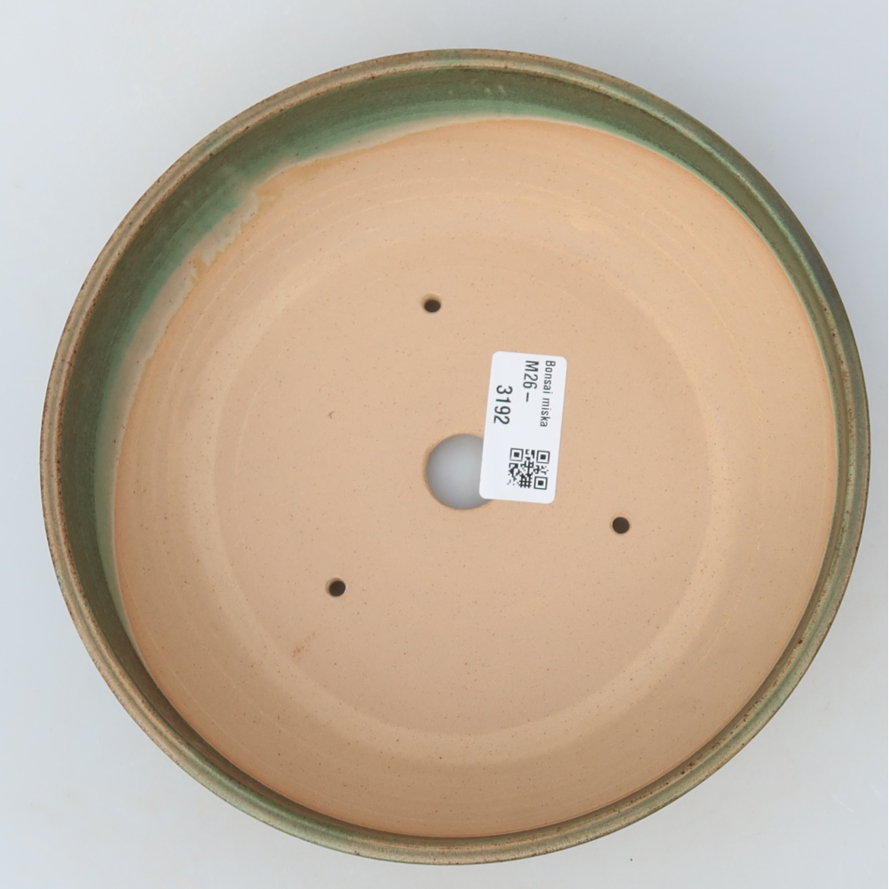 Vaso da bonsai in ceramica 19,5 x 19,5 x 5,5 cm, colore verde