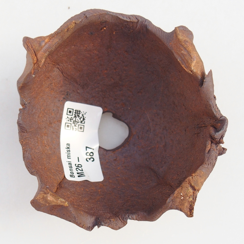 Conchiglia in ceramica 9 x 9 x 6,5 cm , colore marrone