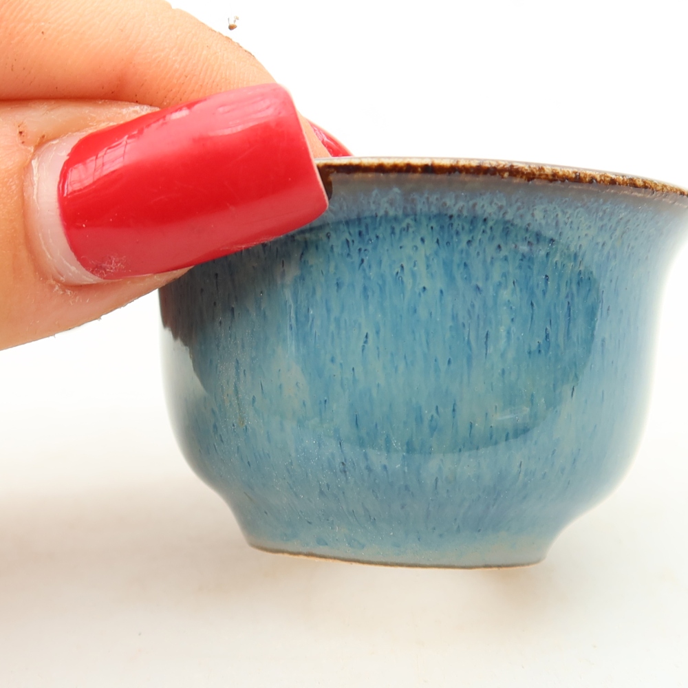 Vaso per bonsai in ceramica 5,5 x 5 x 3 cm, colore blu