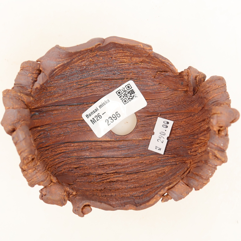 Guscio in ceramica  11,5 x 10 x 8 cm, colore marrone
