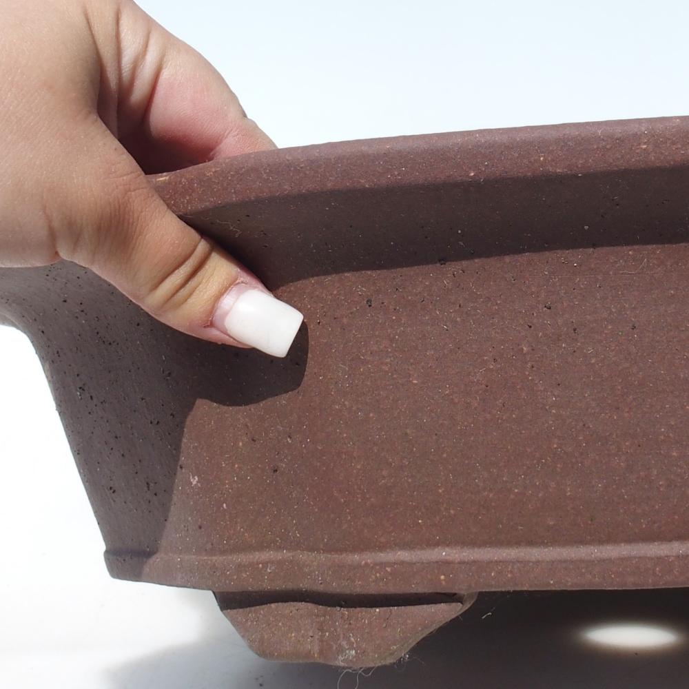 Ciotola bonsai 38 x 38 x 10,5 cm betulla marrone