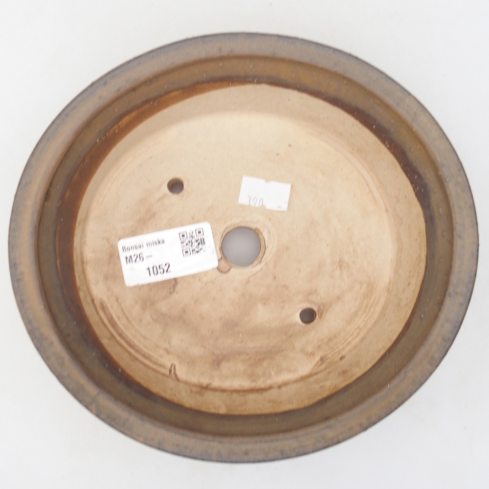 Ciotola per bonsai in ceramica 17,5 x 16 x 5 cm, marrone