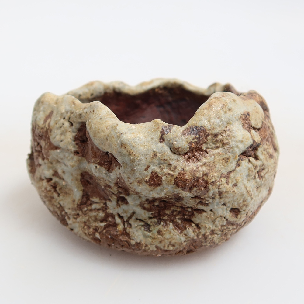 Guscio in ceramica  6,5 x 6,5 x 5,5 cm, colore verde