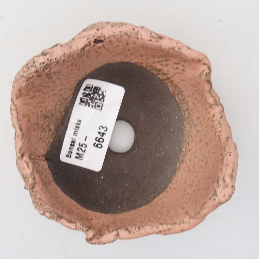 Conchiglia in ceramica 9 x 8,5 x 4,5 cm , colore rosa