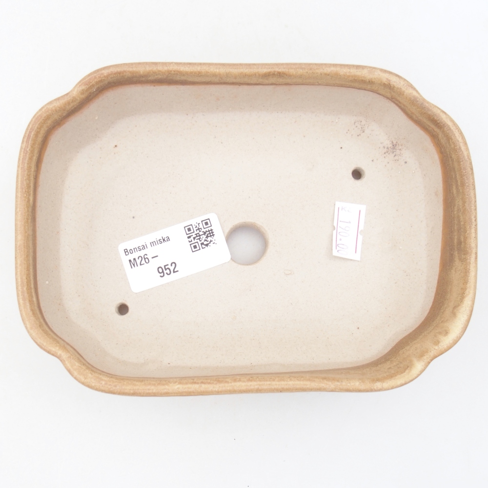 Ciotola per bonsai in ceramica 15,5 x 11,5 x 4 cm, colore beige