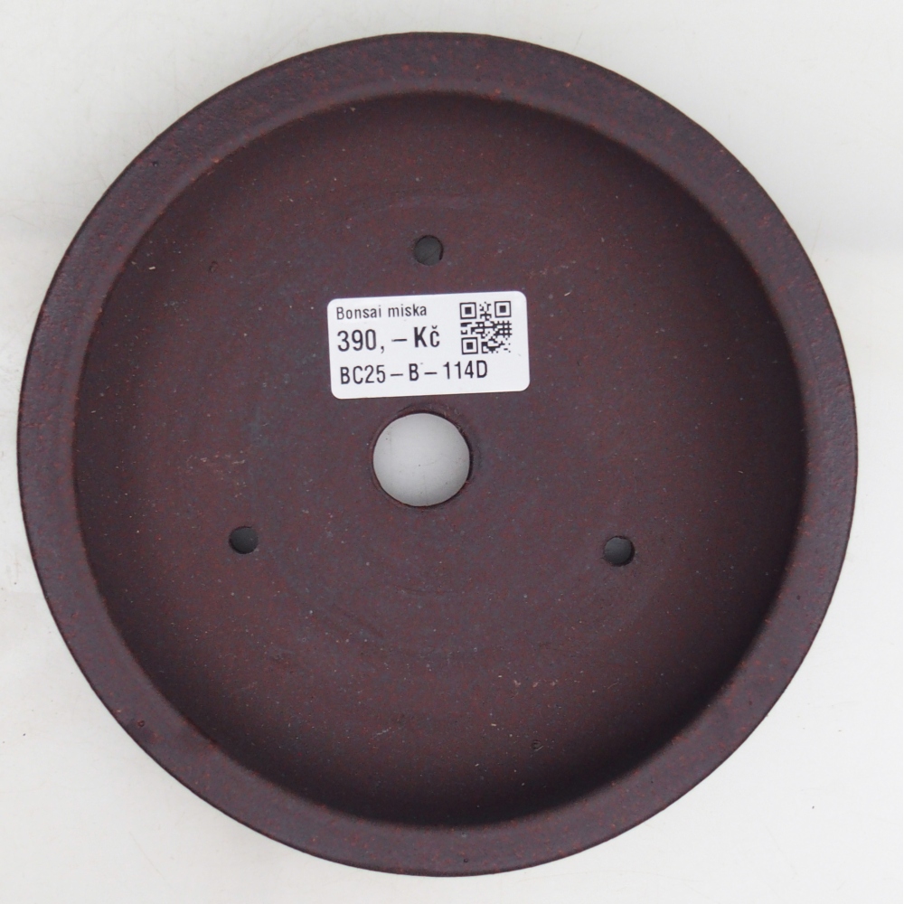 Ciotola per bonsai in ceramica 16 x 16 x 3 cm, marrone