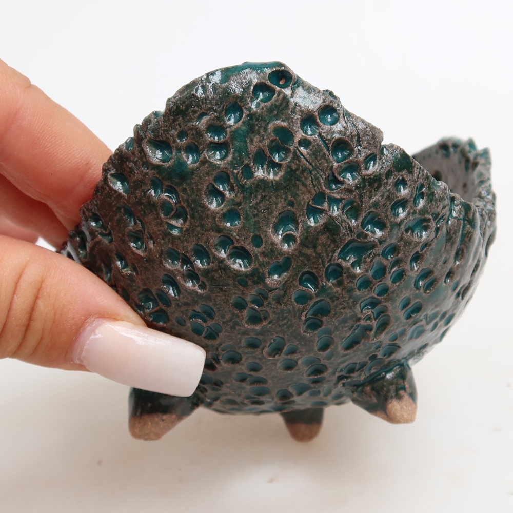 Guscio in ceramica  10 x 9,5 x 6,5 cm, colore verde