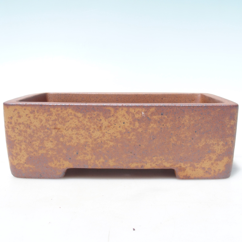 Ciotola 23,5 x 14 x 7,5 cm marrone