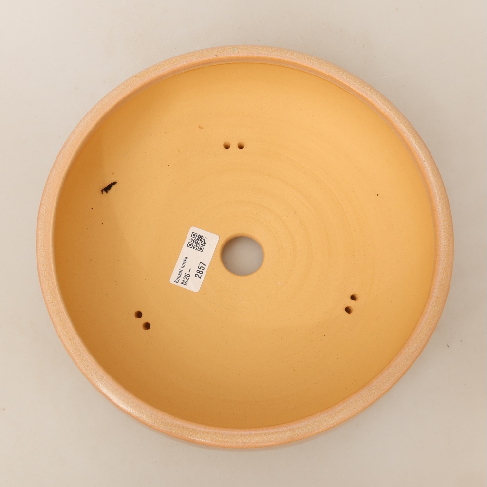 Vaso da bonsai in ceramica 23 x 23 x 7 cm, colore beige