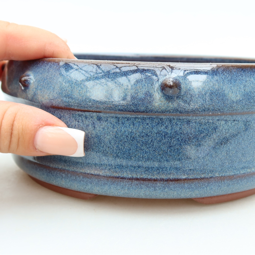 Ciotola per bonsai in ceramica 15,5 x 15,5 x 6,5 cm, colore blu