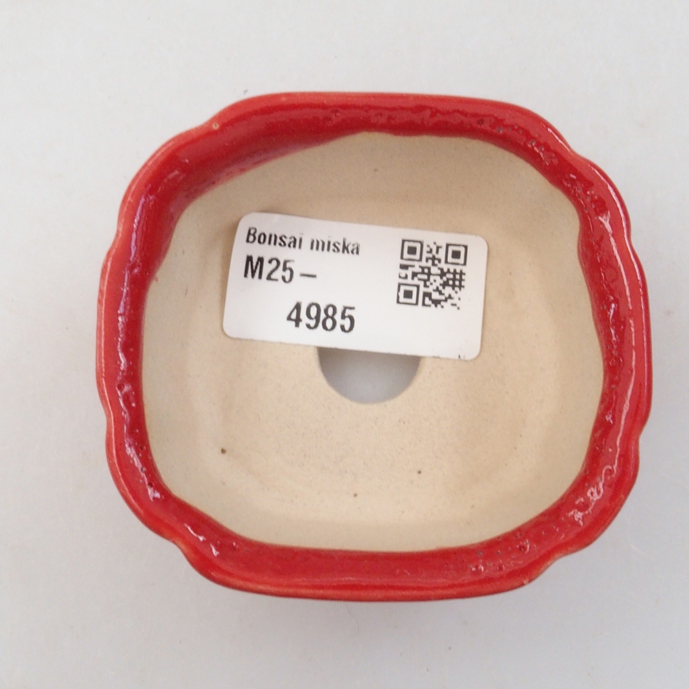 Mini bonsai 7 x 6,5 x 3 cm, colore rosso