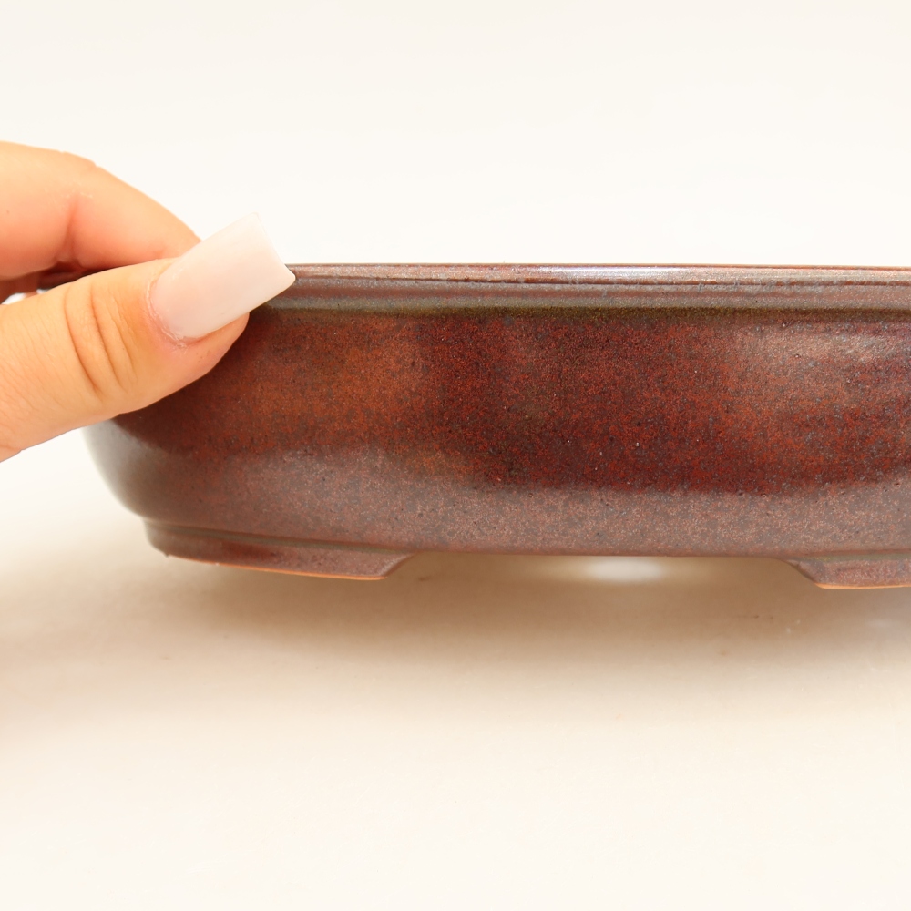 Vaso da bonsai in ceramica 22 x 17 x 5 cm, colore bordeaux