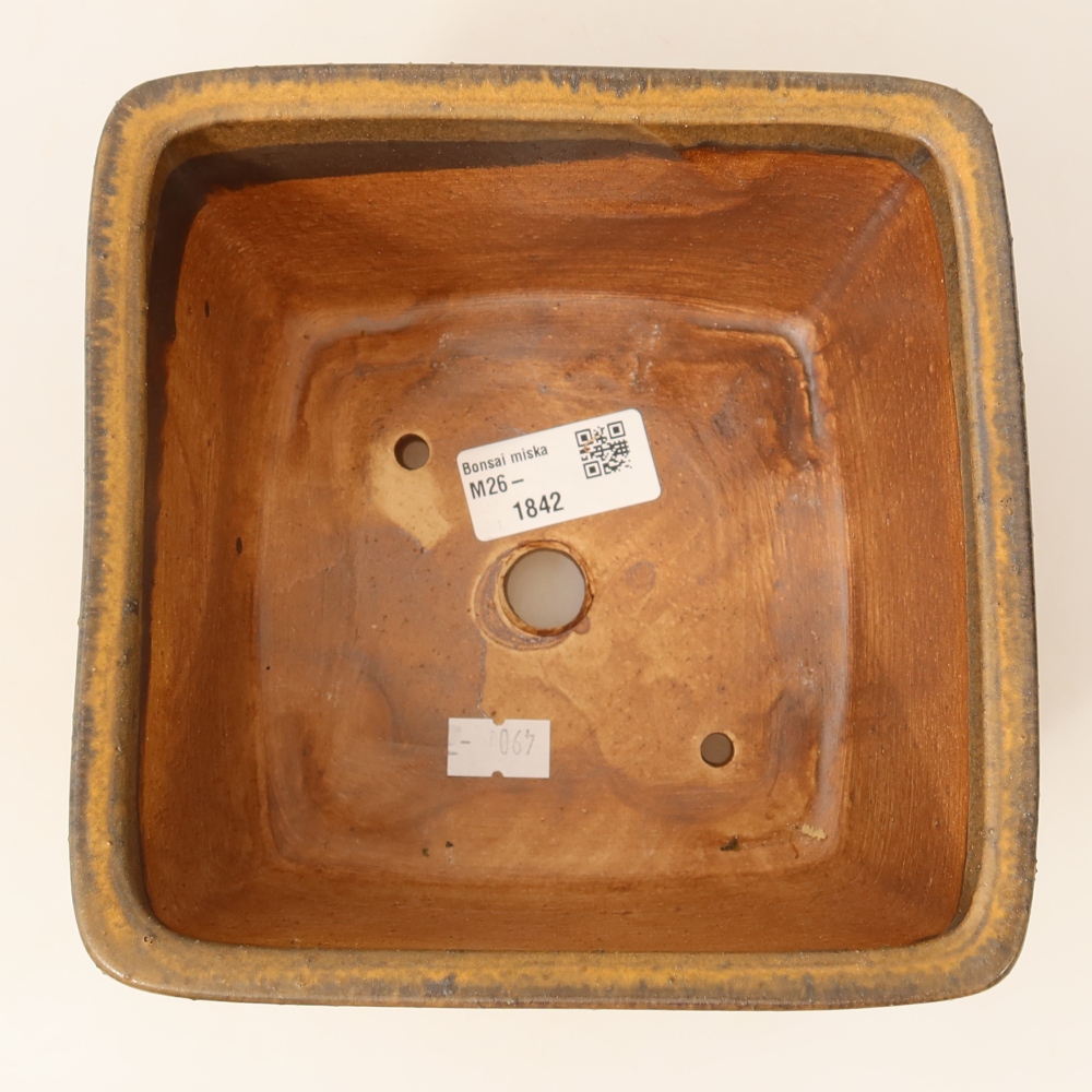 Ciotola per bonsai in ceramica 16 x 16 x 10 cm, marrone