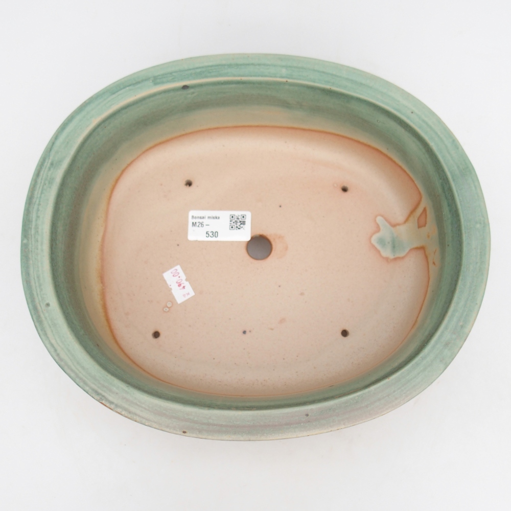 Ciotola bonsai in ceramica 26 x 22 x 8 cm, verde