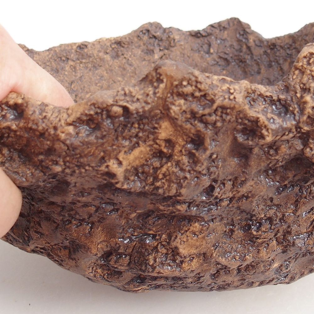 Conchiglia in ceramica 24 x 20 x 16,5 cm , colore marrone