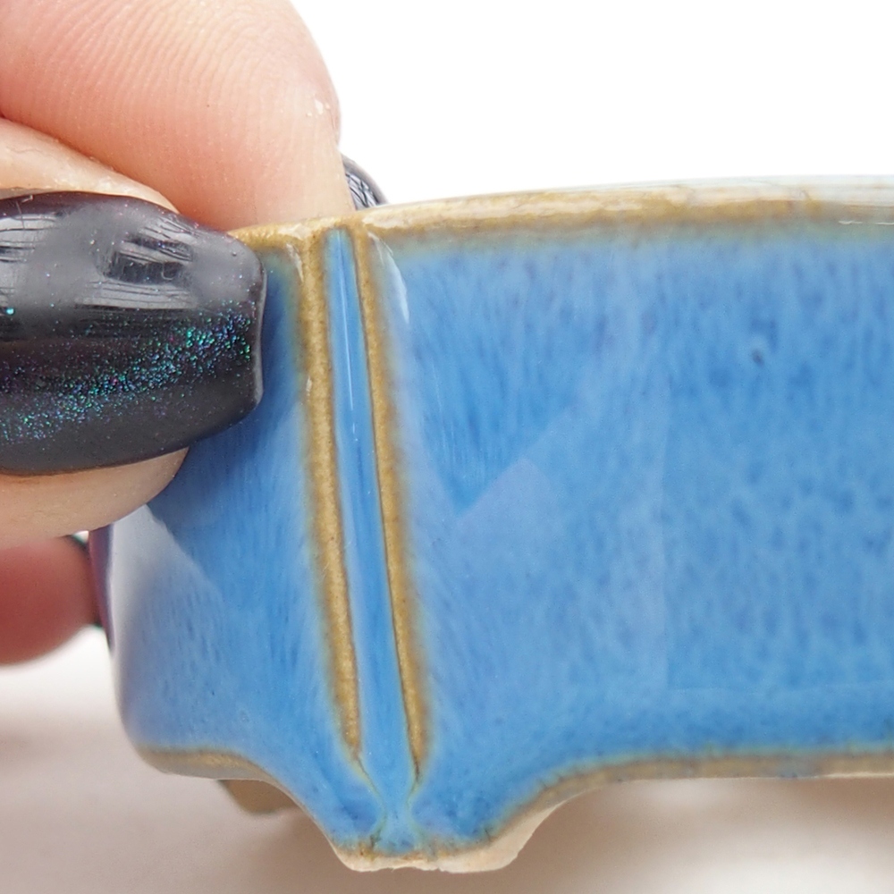 Mini bonsai 6,5 x 6,5 x 2,5 cm, colore blu