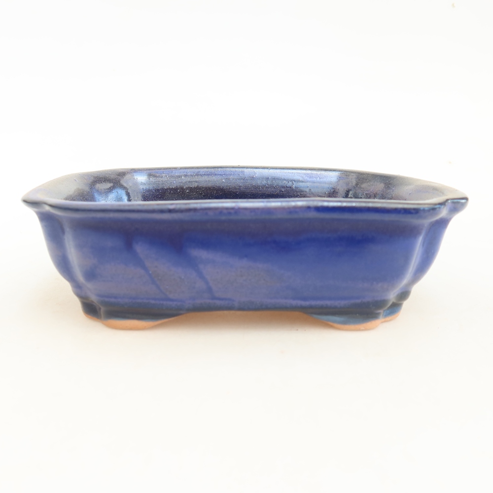 Ciotola per bonsai in ceramica 15,5 x 12 x 4,5 cm, colore blu