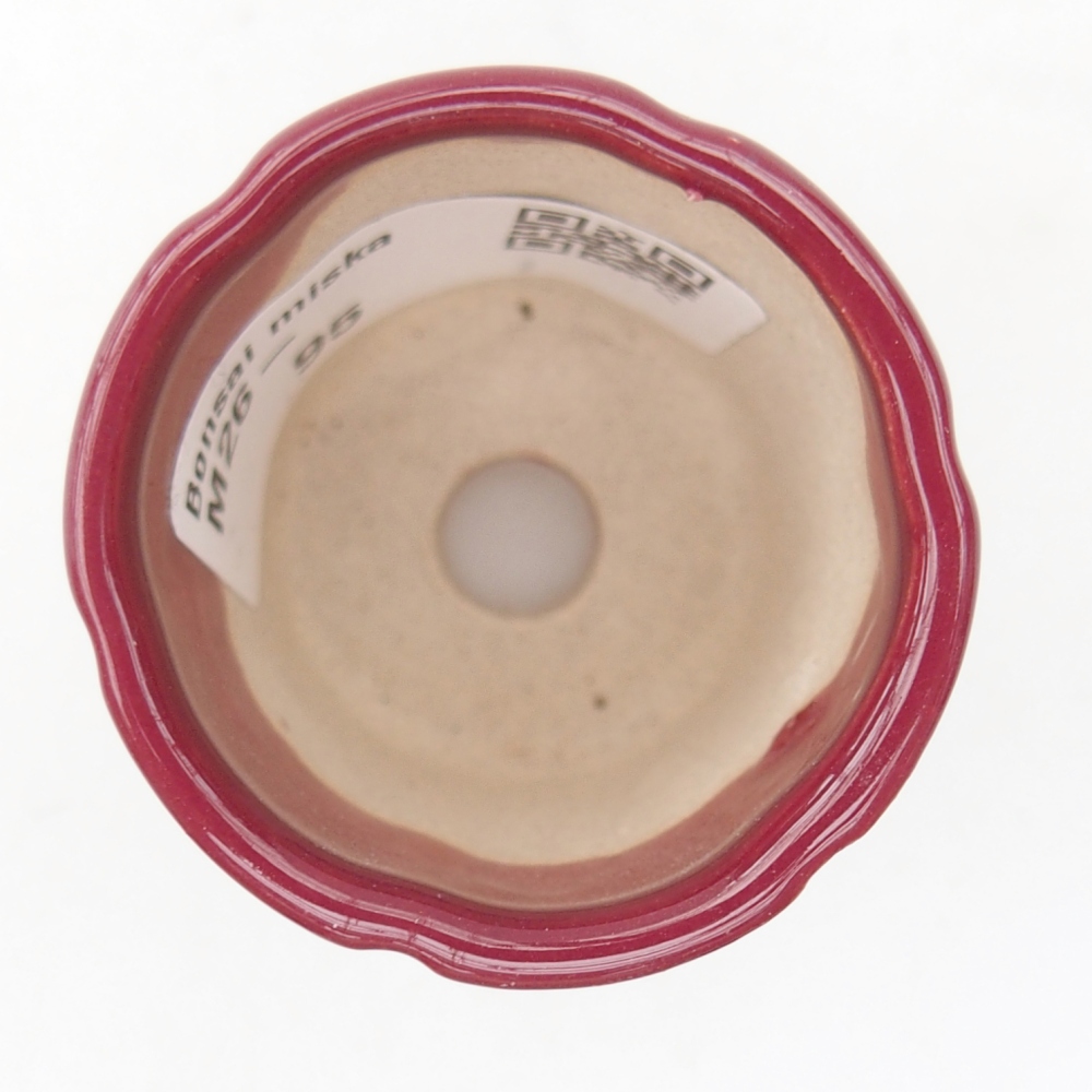 Mini bonsai 4 x 4 x 4,5 cm, bordeaux