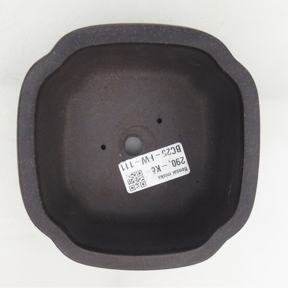 Ciotola per bonsai in ceramica 12 x 12 x 7 cm, colore marrone ocra