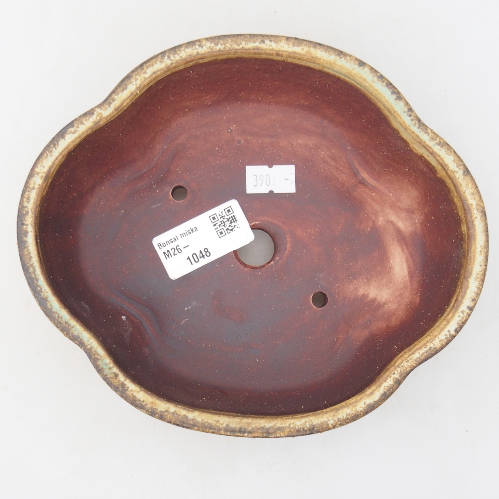 Ciotola per bonsai in ceramica 17 x 15,5 x 5,5 cm, verde