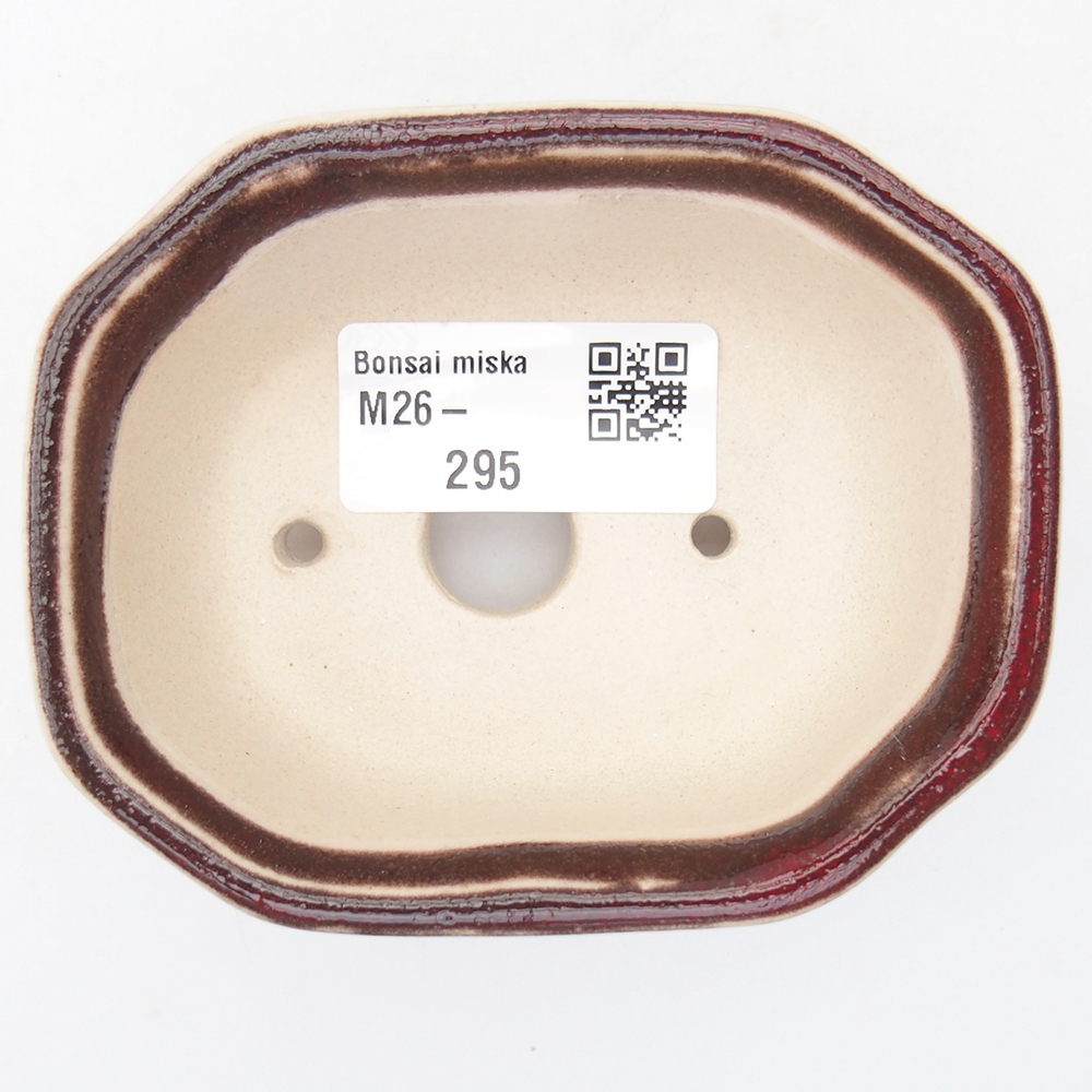 Mini bonsai 9 x 7 x 3,5 cm, colore rosso