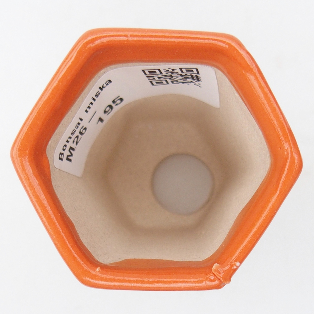 Ciotola per mini bonsai 5 x 4,5 x 6,5 cm, arancione
