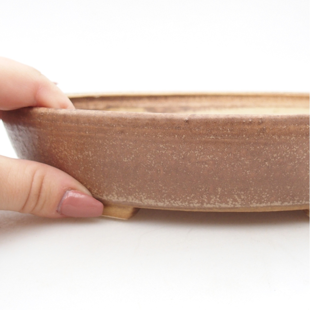 Ciotola bonsai in ceramica 22,5 x 20 x 4,5 cm, rosa