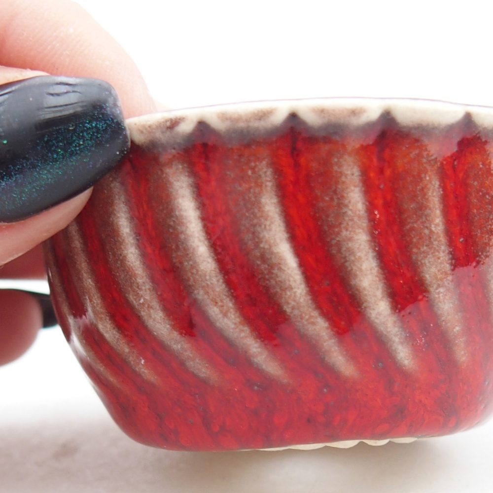 Mini bonsai 5,5 x 5,5 x 2,5 cm, colore rosso