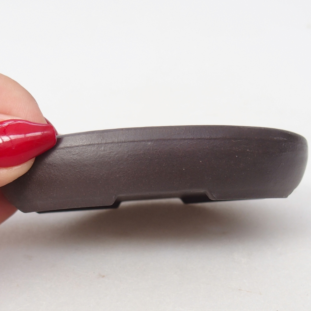 Mini bonsai 9 x 7,5 x 2 cm, marrone