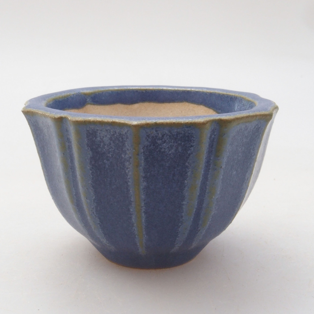 Ciotola per mini bonsai 5 x 5 x 3 cm, blu