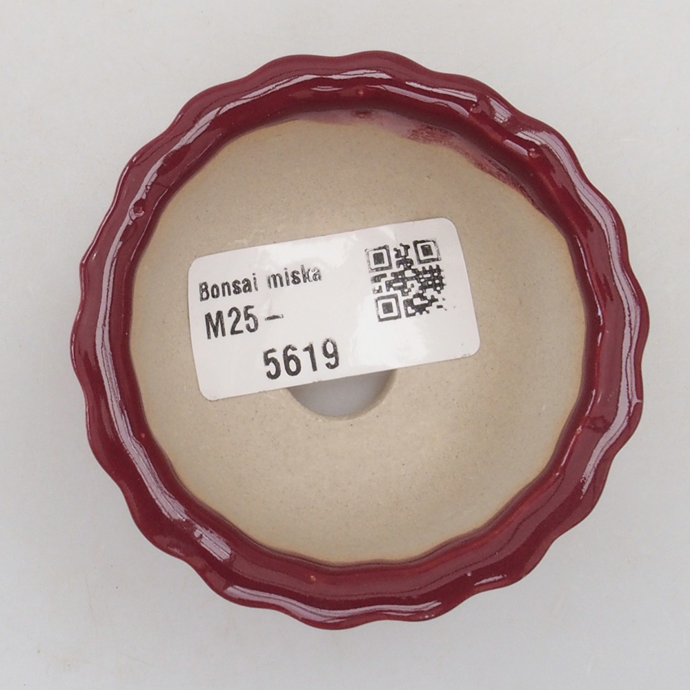 Ciotola per mini bonsai 6,5 x 6,5 x 3,5 cm, bordeaux