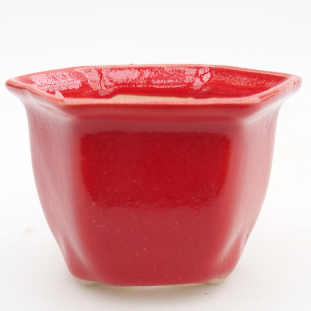 Mini bonsai 7 x 6,5 x 5 cm, colore rosso
