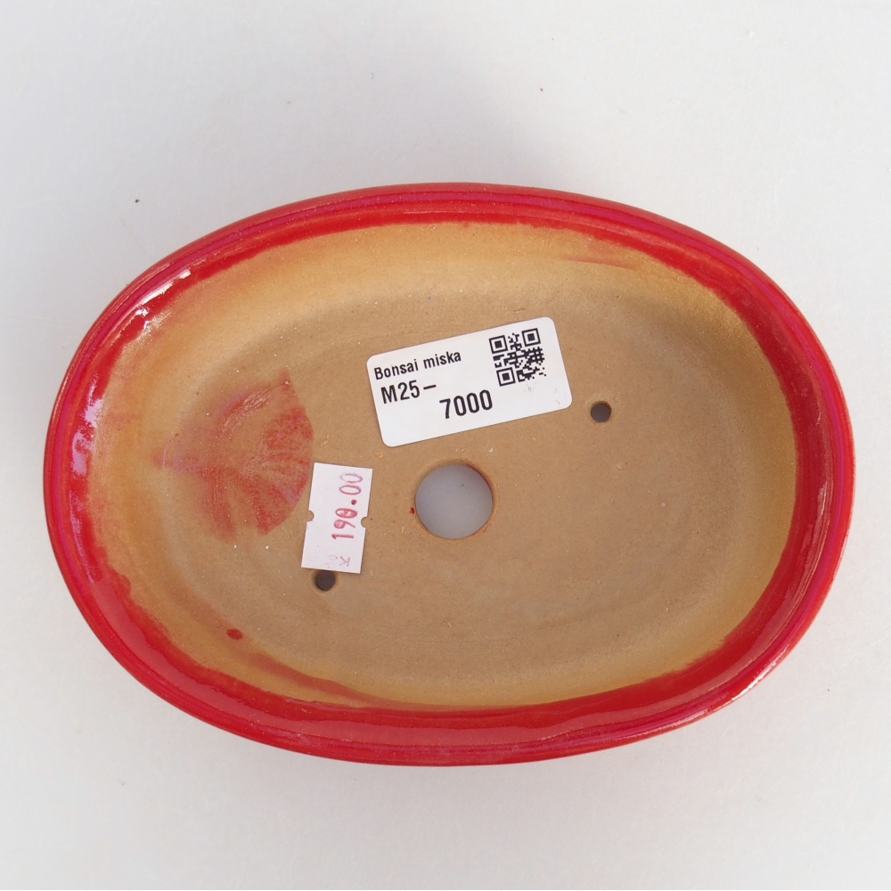 Ciotola bonsai in ceramica 26 x 26 x 8 cm, colore rosso
