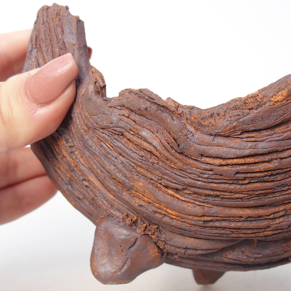 Conchiglia in ceramica 14 x 12 x 9,5 cm , colore marrone