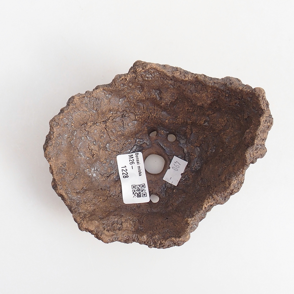 Conchiglia in ceramica 13 x 11 x 11 cm , colore marrone