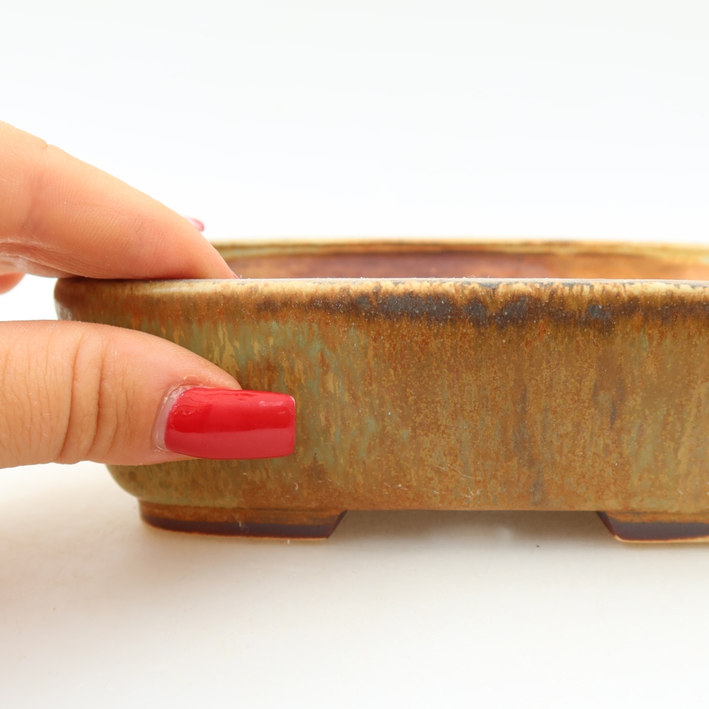 Vaso in ceramica per bonsai 14 x 11,5 x 4,5 cm, colore verde