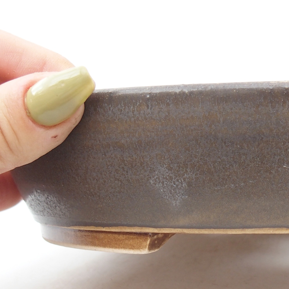 Ciotola per bonsai in ceramica 20,5 x 18,5 x 4 cm, marrone