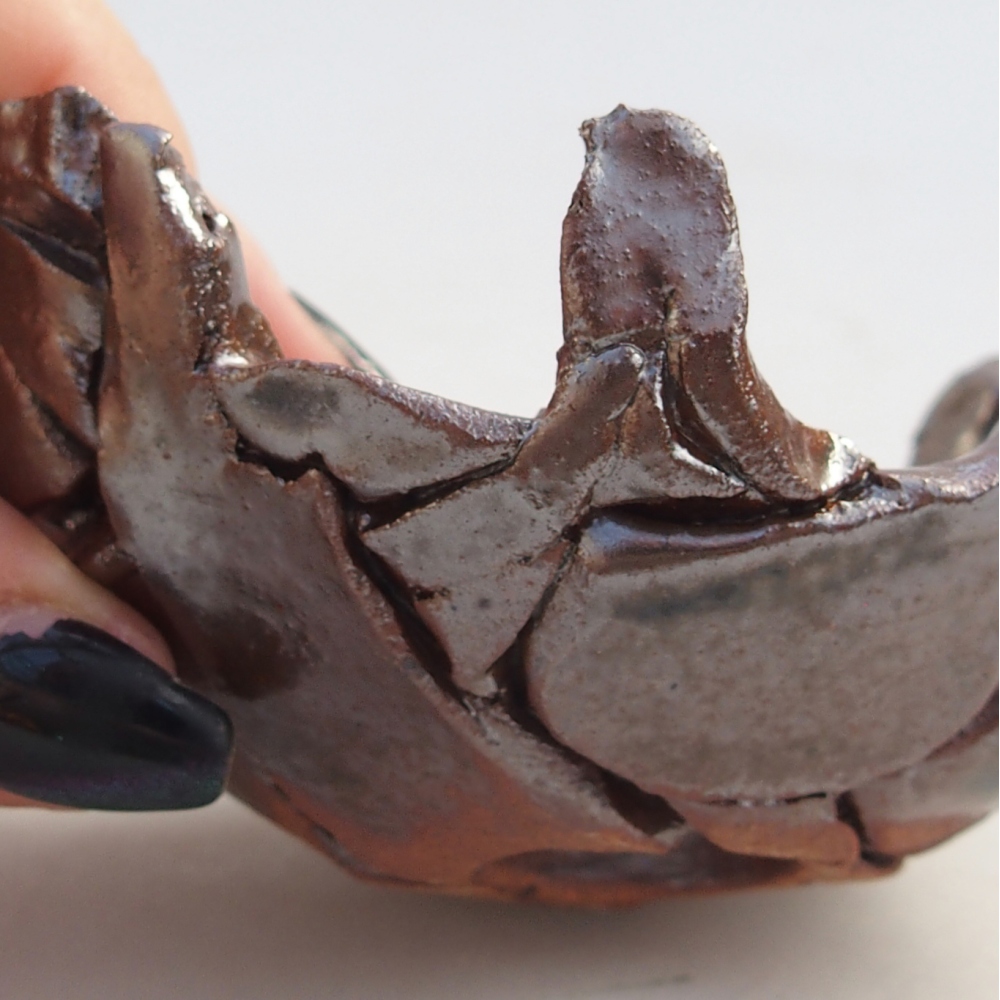 Conchiglia in ceramica 9 x 8 x 5 cm , colore marrone