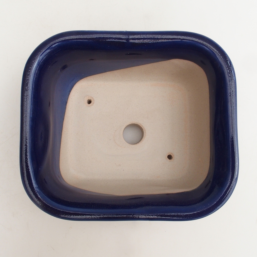 Ciotola bonsai H36 - 17 x 15 x 7,5 cm - blu