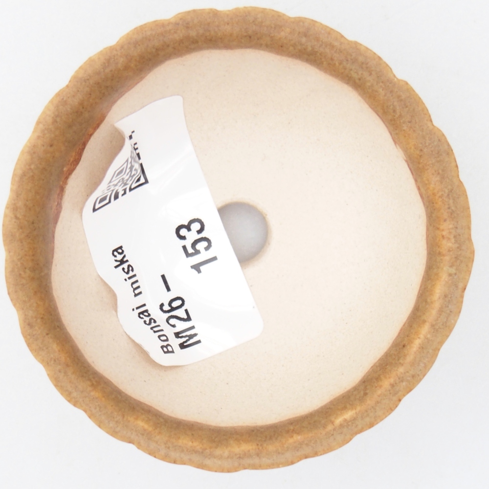 Ciotola per mini bonsai 5,5 x 5,5 x 3 cm, marrone