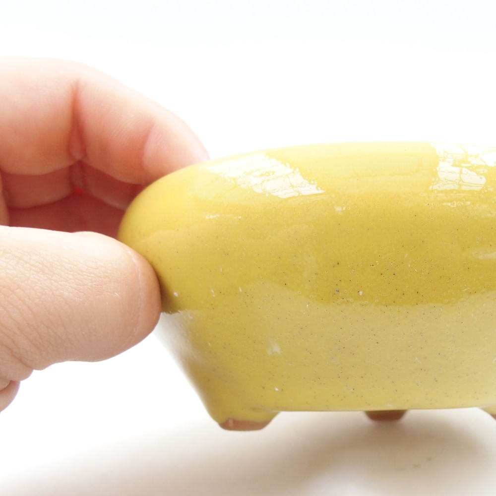 Ciotola bonsai in ceramica 22 x 17 x 5 cm, verde