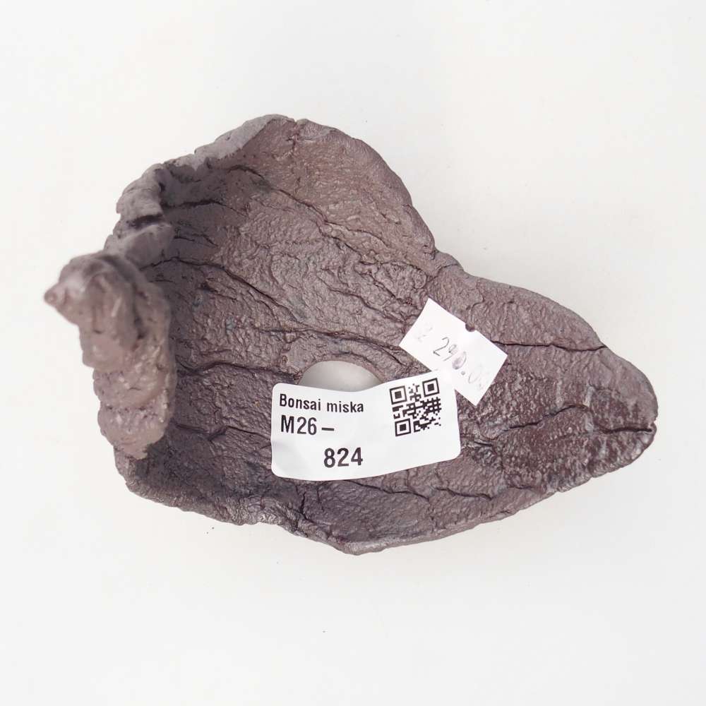 Conchiglia in ceramica 9,5 x 8 x 11,5 cm, colore metallizzato