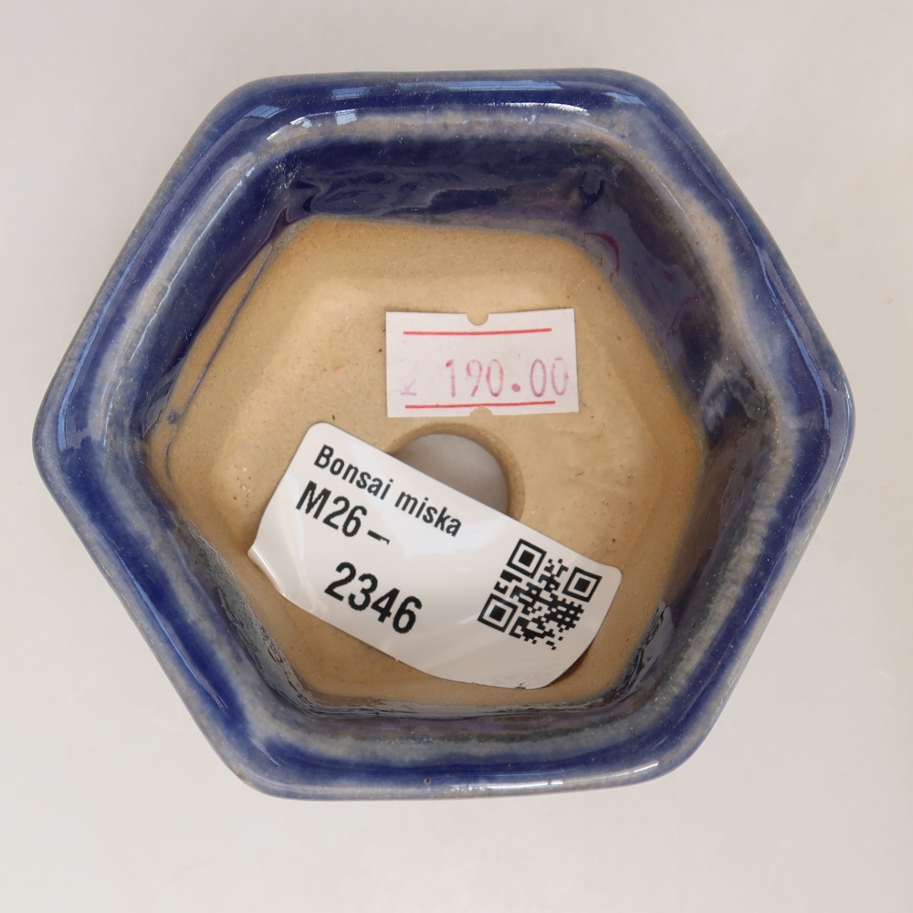 Ciotola per bonsai in ceramica 7,5 x 7 x 4 cm, colore blu