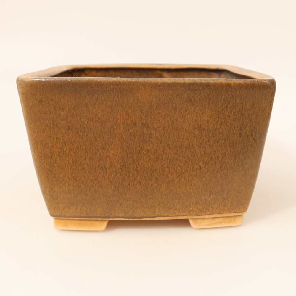 Ciotola per bonsai in ceramica 16 x 16 x 10 cm, marrone