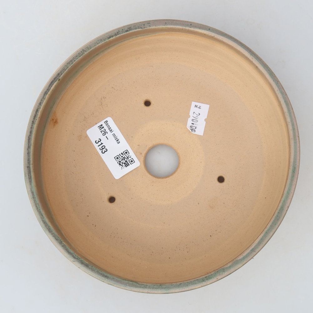Vaso da bonsai in ceramica 16,5 x 16,5 x 5 cm, colore beige