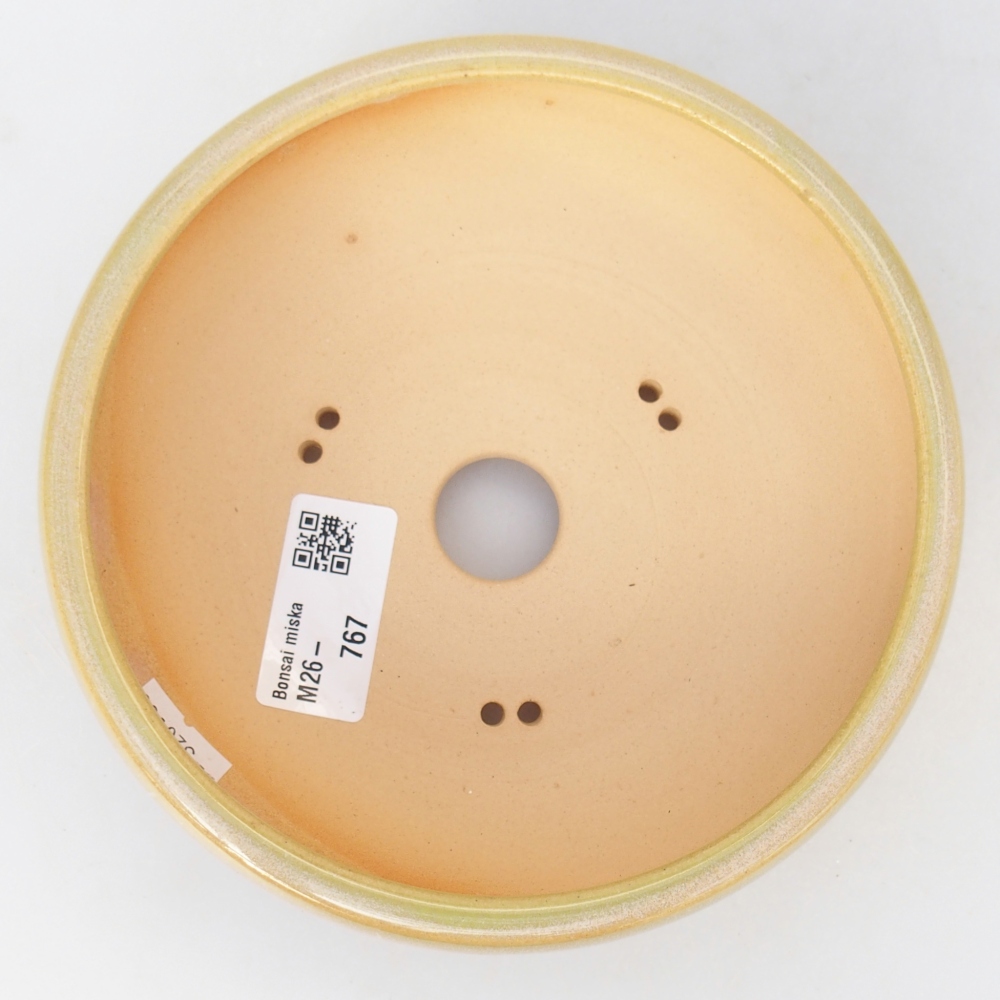 Ciotola per bonsai in ceramica 15 x 15 x 5,5 cm, giallo-verde